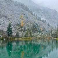 อุทยานปี้เผิงโกว หิมะตก สวยมากกก 🌨️🌲 