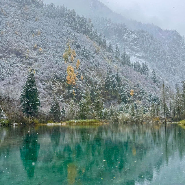 อุทยานปี้เผิงโกว หิมะตก สวยมากกก 🌨️🌲 
