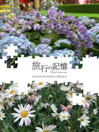 春天的情書💌花花世界