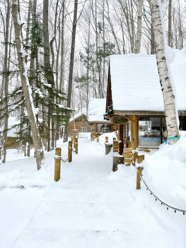 ❄️ 北海道富良野｜冬日精靈露台，雪景中的森林小屋