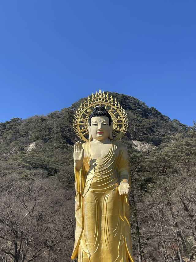 충북 보은 여행 유네스코 법주사 