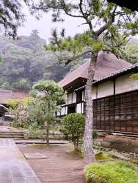  【神奈川県　北鎌倉の円覚寺でメディテーションと芥川文学の世界観に浸るひと時】