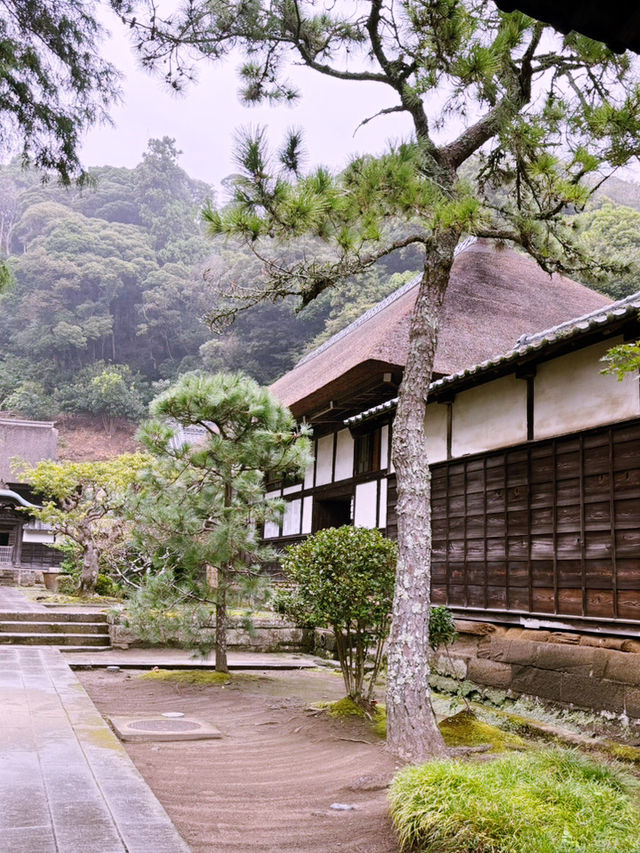  【神奈川県　北鎌倉の円覚寺でメディテーションと芥川文学の世界観に浸るひと時】
