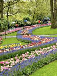 Keukenhof – A Dreamlike Stroll Through a Sea of Tulips