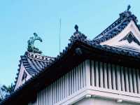 まるで江戸時代にタイムスリップ！🏯