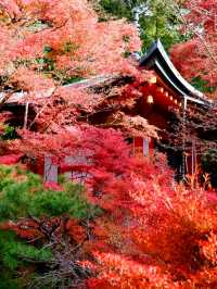Kyoto - Bishamon-do temple
