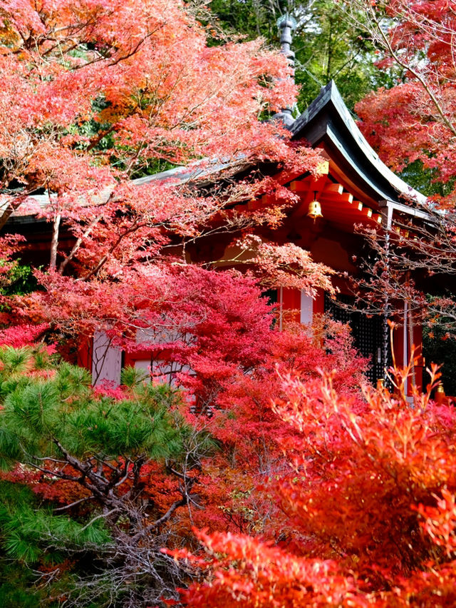 Kyoto - Bishamon-do temple