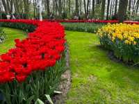 "Keukenhof: The World's Most Beautiful Spring Garden"