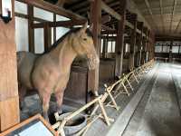 《滋賀護國神社與彥根城養馬遺址》