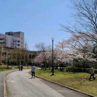 Dainohara Forest Park (台原森林公園)