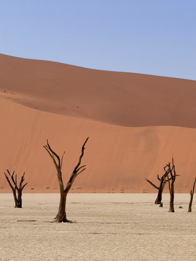 비현실적 엽서 풍경🏜️ 나미비아 데드블레이