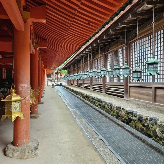 kw 遊學團