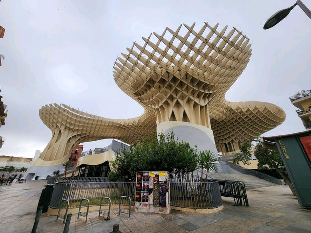 [🇪🇸セビージャ] セビージャで楽しむおすすめの絶品グルメ体験