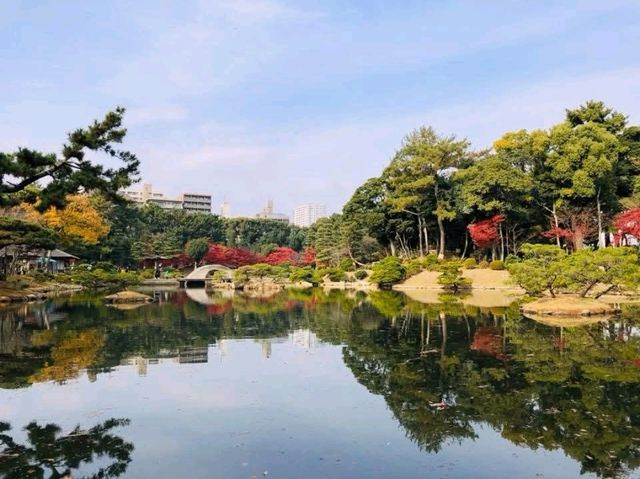 濃縮廣島四季美景，楓紅如畫的縮景園