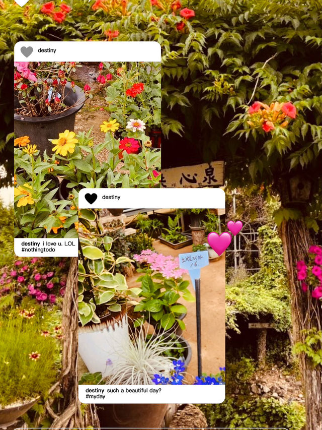 A Cultural Botanical Journey 