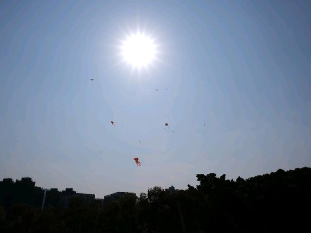 享受自然 . 大埔海濱公園