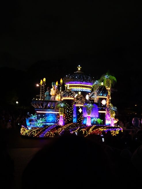 Tokyo Disneyland in December 🎄❄️