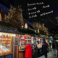 フランスで1番可愛い街のクリスマスマーケット🇫🇷