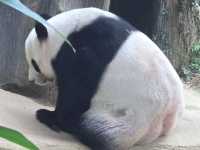 Must-visit places in Zoo Negara Malaysia