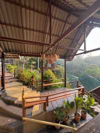 รีสอรท์ในสังขละบุรี ต้อนรับน้องแมว 