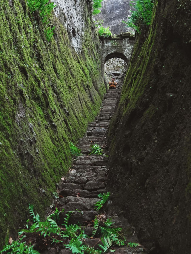 🌿 Springtime Magic in Wuyi Mountain 🌿