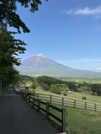 🇯🇵可以影到飛越富士山的童話牧場🐑✨