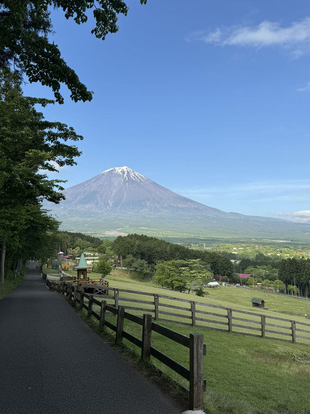 🇯🇵可以影到飛越富士山的童話牧場🐑✨