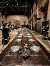 An Amazing Experience for Harry Potter Fans!