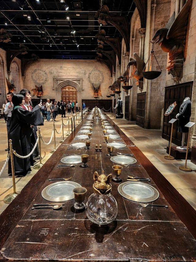 An Amazing Experience for Harry Potter Fans!