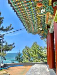 자연러버가 추천하는 강원도 야외데이트장소는 여기💚🩵