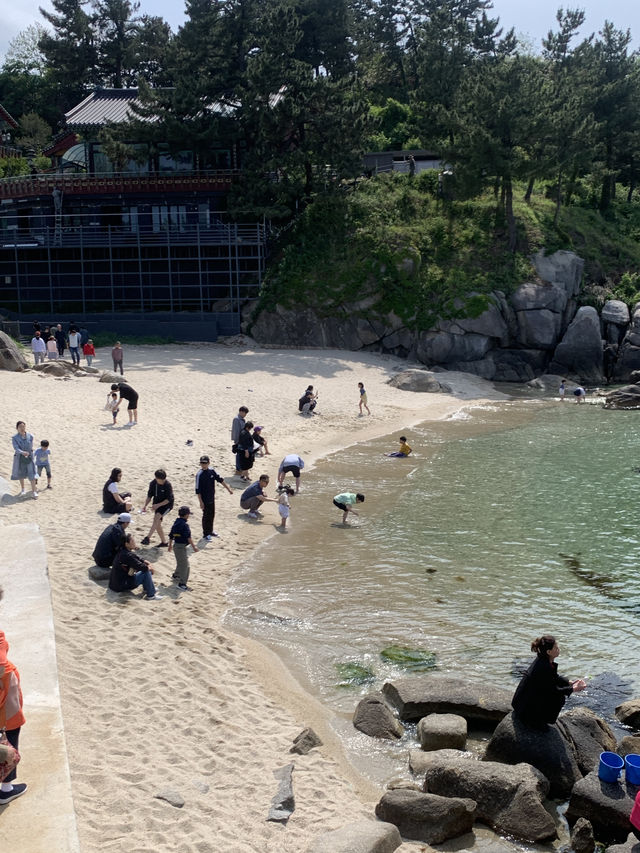 자연러버가 추천하는 강원도 야외데이트장소는 여기💚🩵