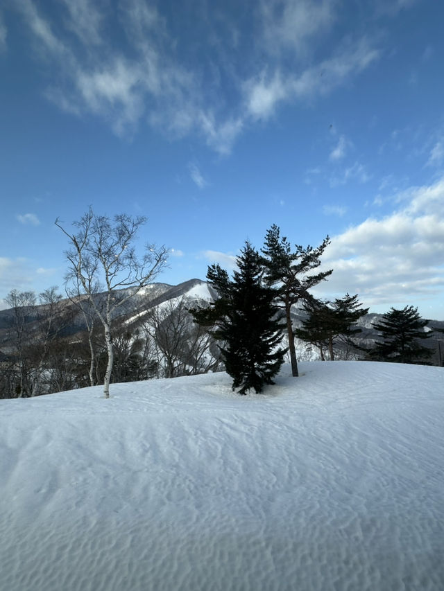 初學滑雪的理想雪場之一-斑尾高原