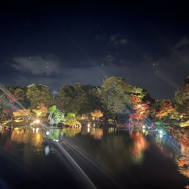 Hikone Castle: Where Autumn Nights Sparkle✨