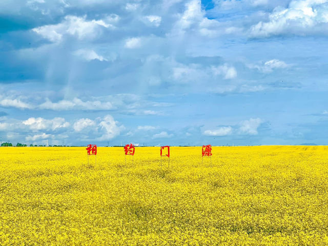 Exploring the Natural Wonders of Gansu and Qinghai, China