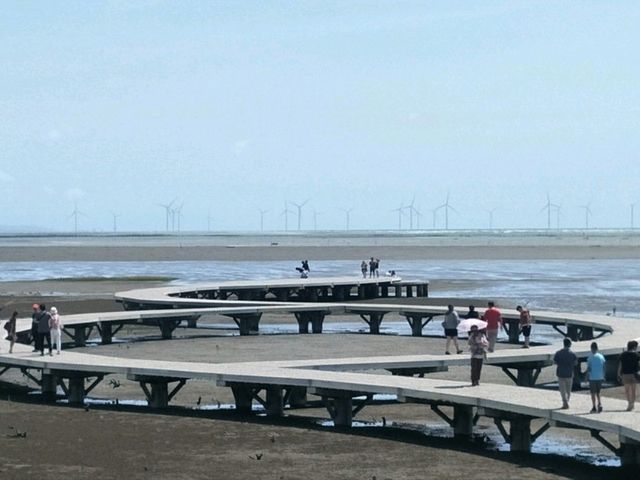 #香山濕地- 新竹市香山區