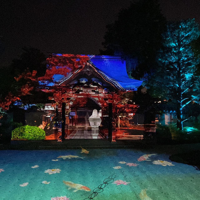 Kodaiji's Spring Illumination Night Show