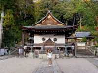 เมืองน่ารักใกล้เกียวโต