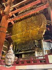 修学旅行の定番！奈良時代に造られた国宝✨奈良 東大寺