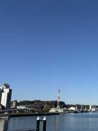 【バラ🌹が満開のヴェルニー公園から横須賀芸術劇場での意義ある滞在】