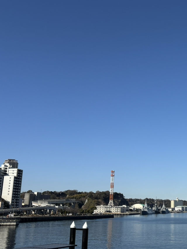 【バラ🌹が満開のヴェルニー公園から横須賀芸術劇場での意義ある滞在】