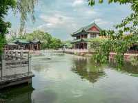 สวนสาธารณะ คุนหมิง cuihu park 🇨🇳