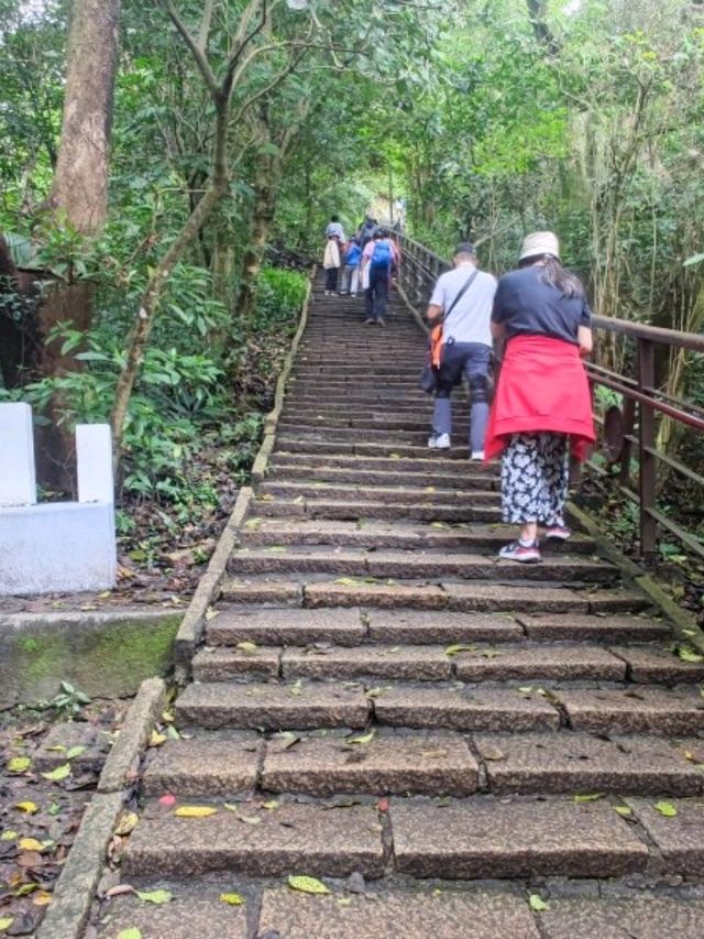 臺北四獸山之一#象山登山步道-臺北市信義區