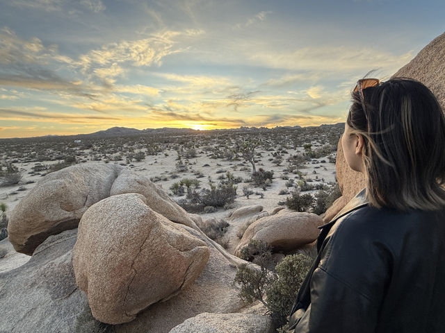 Joshua Tree🌴令到我沙漠依2個字有了實感🏜️