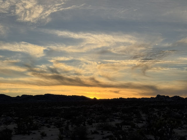 Joshua Tree🌴令到我沙漠依2個字有了實感🏜️