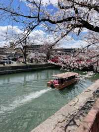 儚くも美しい京都へ