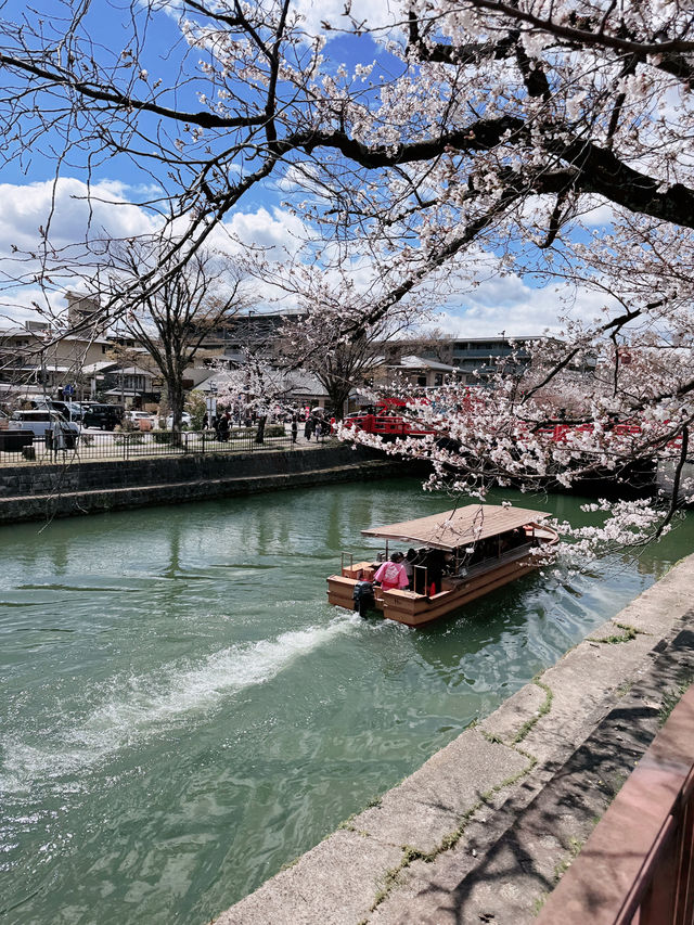 儚くも美しい京都へ