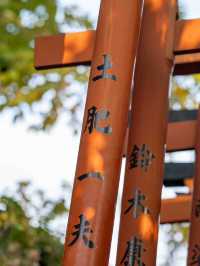四季折々の表情が楽しめる上野公園🌸🍁