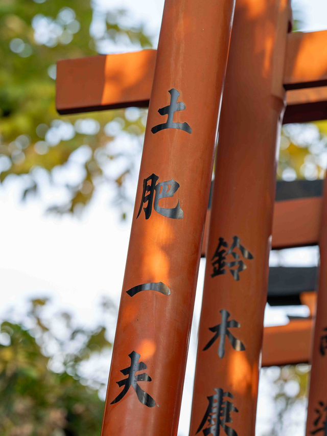 四季折々の表情が楽しめる上野公園🌸🍁