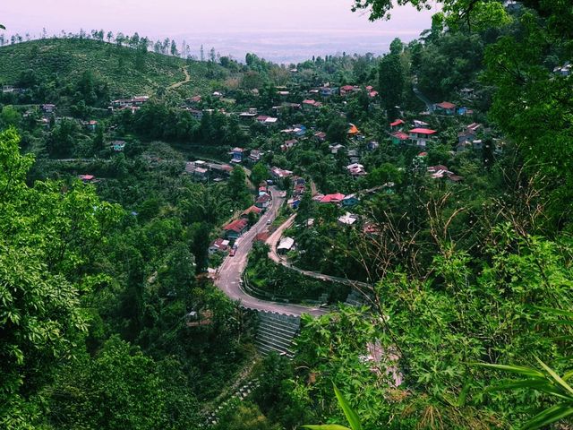 印度大吉嶺旅行攻略，適合打卡拍照📸