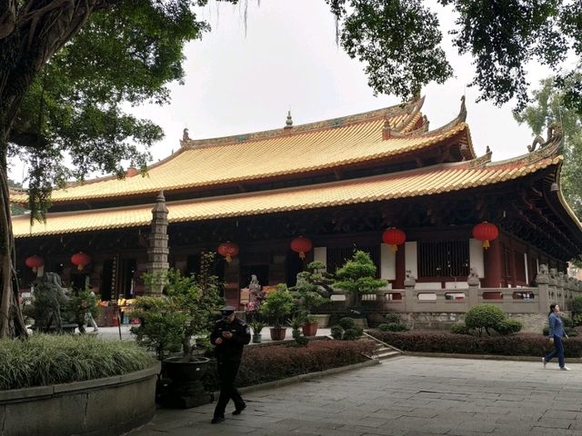 도심 속 천년 고찰, 광효사
